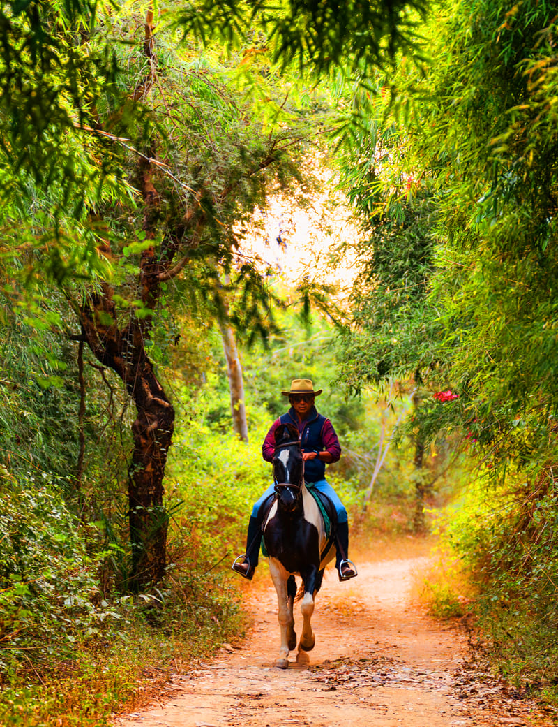 cycling tours in udaipur